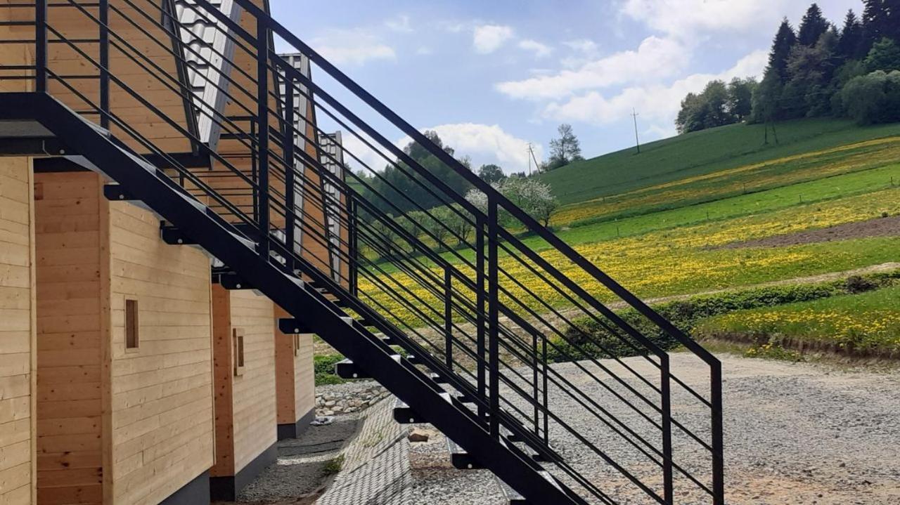 Motylowe Wzgorze Apartamenty Zawóz Dış mekan fotoğraf